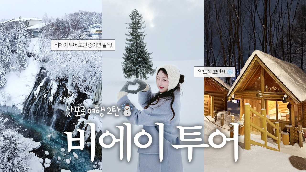 [VLOG] 폭설 올 때 떠난 삿포로 여행⛄️| 비에이투어 | 크리스마스트리.닝구르테라스