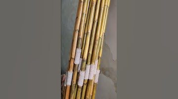 Bamboo javelin  #sports #ytshort #tranding #javelin #games Dm on 9897755955 , 7017073004 for more..