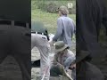 FBI exhumes dead animals at NorCal rescue that received dogs from Monterey County