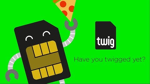 Twig, Have you Twigged Yet?