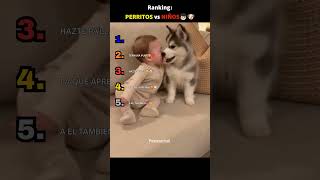 RANKING: PERRITOS VS NIÑOS👦🏻🐶  #viral #parati #pets #humor
