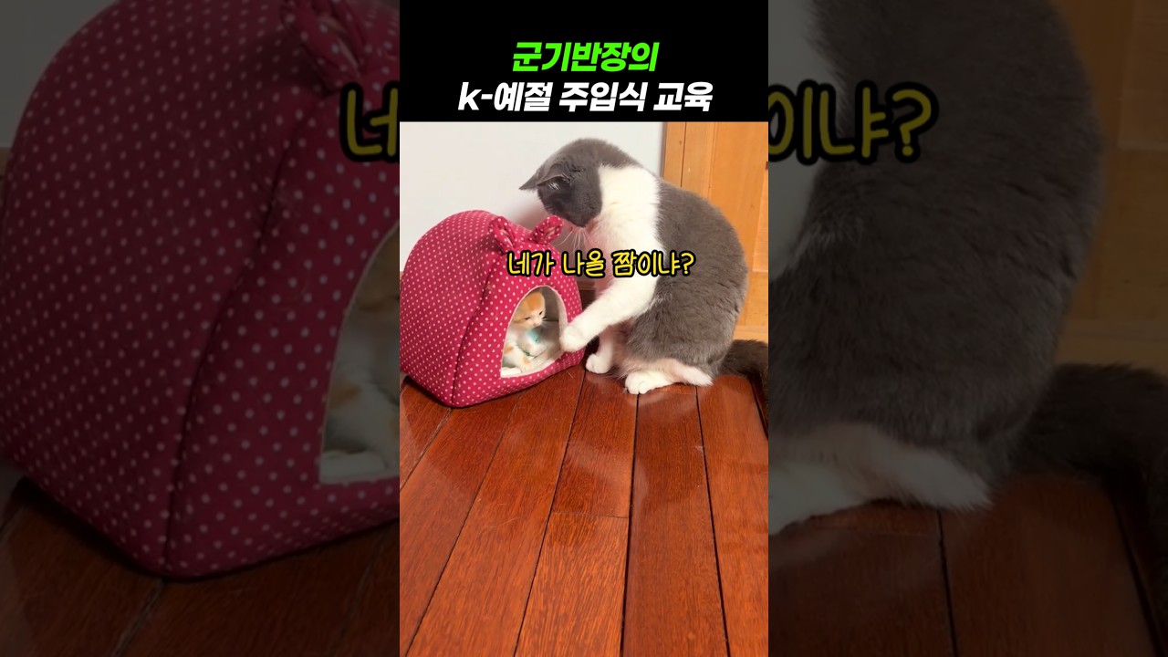 신입생 잡도리 담당 군기반장