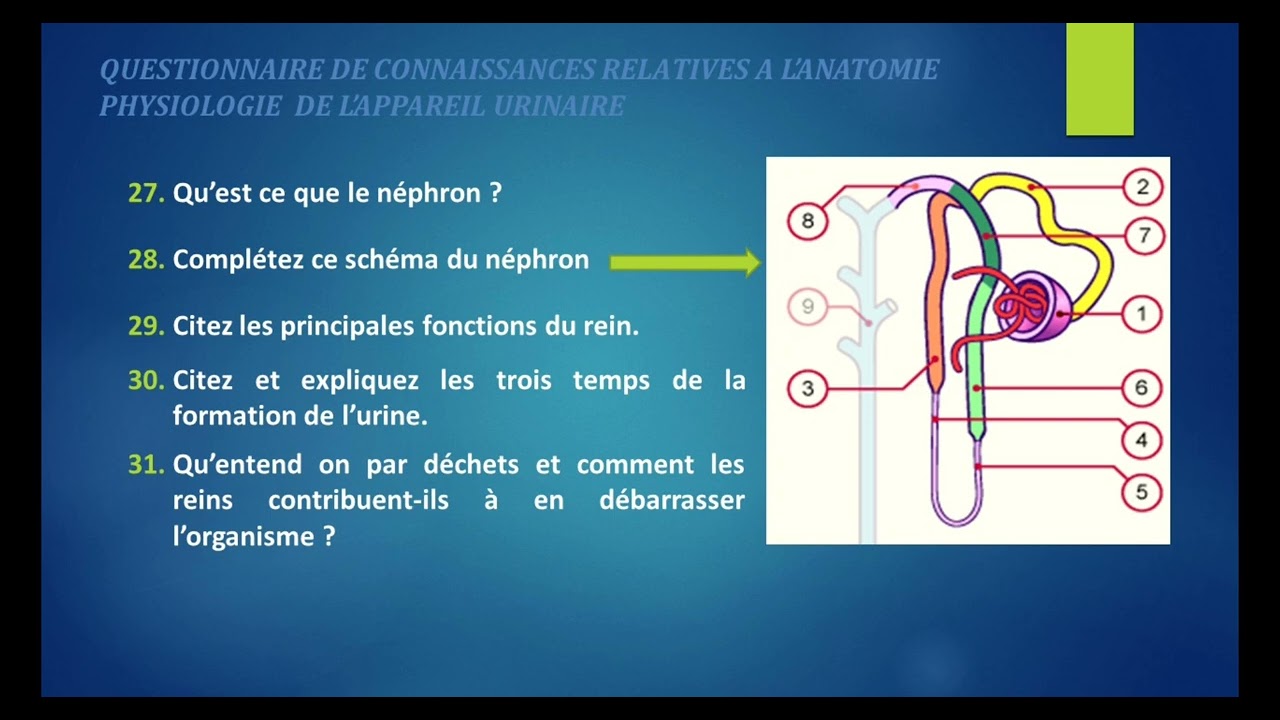 Mobilisation de connaissances - UE 2.2 S1 - Cycles de la vie et grandes fonctions 1/2