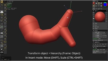 Clavicula :: Bones (basic)