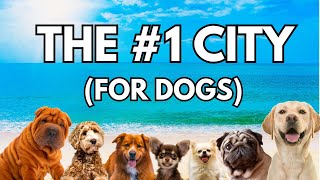 America's Most Dog Friendly City (See Why)