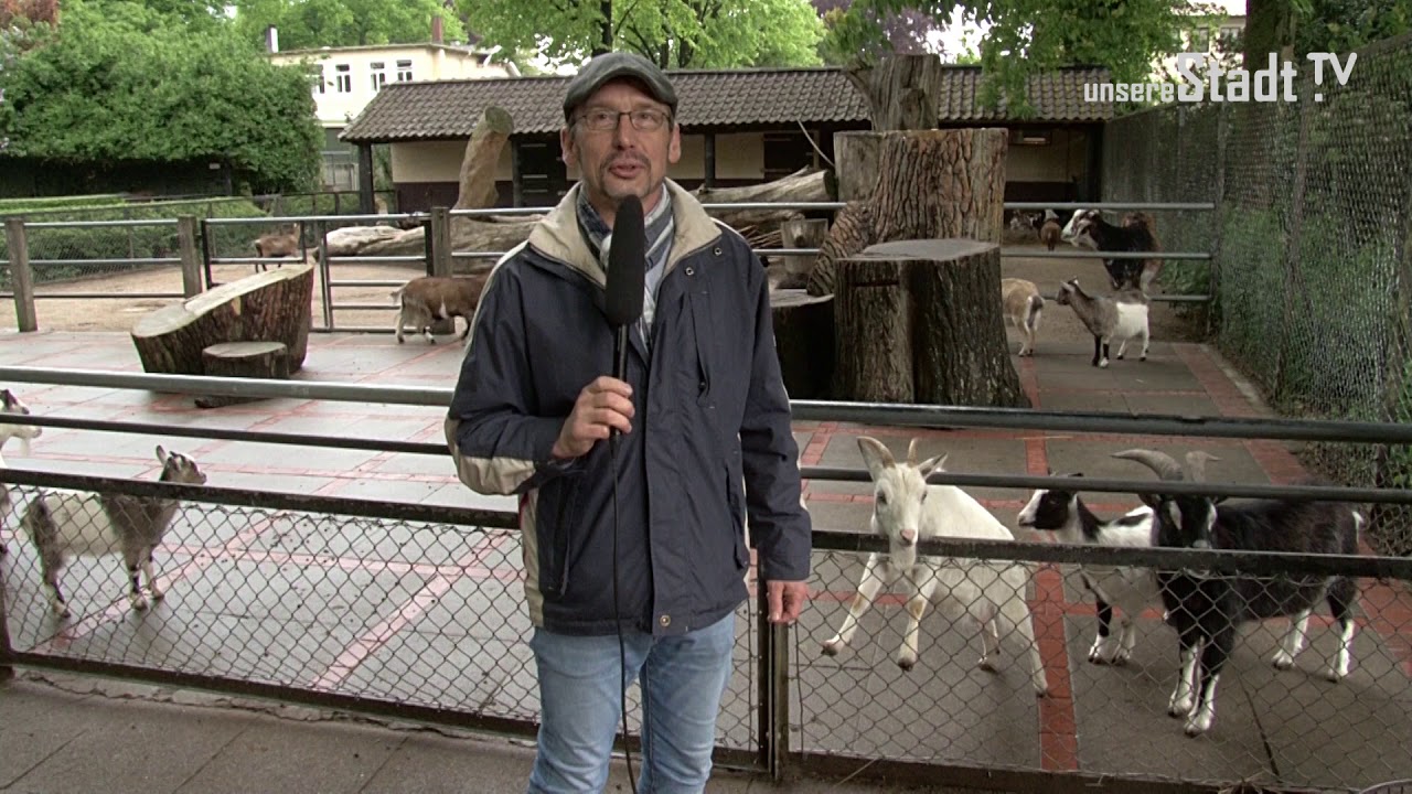 Tierisches Vergnügen im Tierpark Hagenbeck in Hamburg