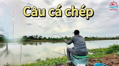 Câu cá tự nhiên | Trải nghiệm câu cá chép tại trạm bơm trên sông Họng