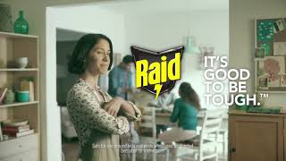 How To Keep Ants Out Of Your Kitchen