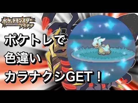 ポケトレ 東カラナクシ色違い3匹ゲット プラチナ Shiny Shellos Youtube