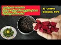 உங்க சமையலை அசத்தலாக மாற்றும் இரகசிய குறிப்புக்கள் || Useful cooking tips