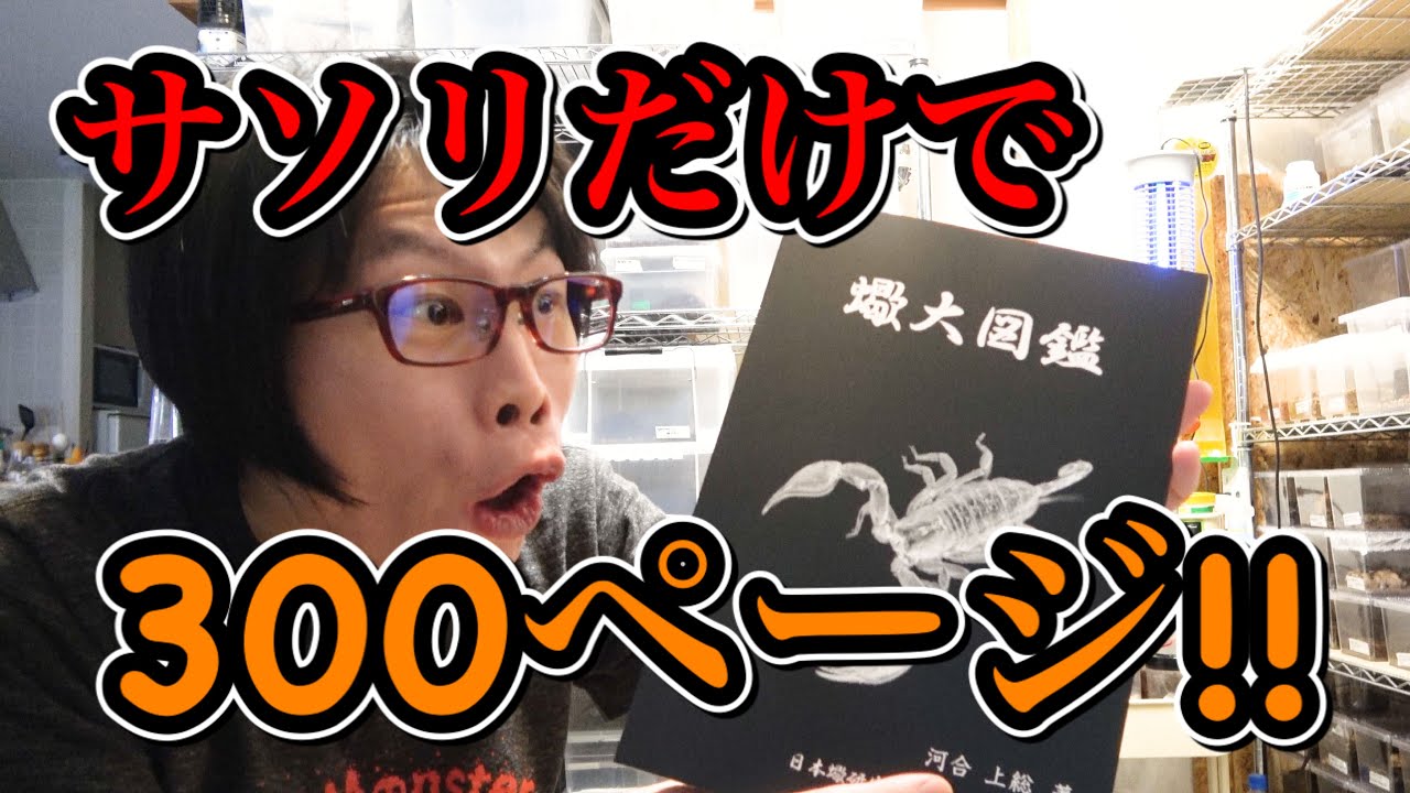 300ページ111種解説の最強サソリ大図鑑が届きました！ - YouTube