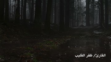 " ماتيسر من سورة النمل" للقارئ/ ظفر القليب