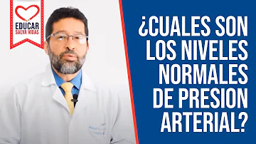 ¿Qué es la Norma 82?