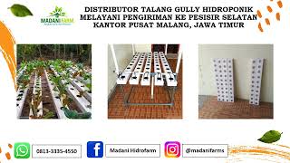 Jual Hp/Wa 0813 - 3335 - 4550 Talang Gully Hidroponik Pesisir Selatan