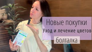 видео: Как я чуть не погубила два цветка! Уход за цветами и инвентарем. Новые растения и вечерние разговоры картинка: Как я чуть не погубила два цветка! Уход за цветами и инвентарем. Новые растения и вечерние разговоры