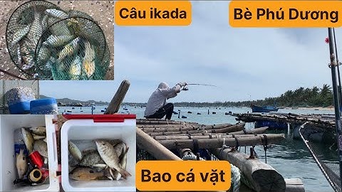 Câu Cá Biển Tự Nhiên, Câu ikada, Câu Cá Vặt, Cá Lù, Cá Róc, Cá Dò. TÝ FISHING ( Vietnamese fishing )