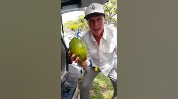 Coconuts might make you poop