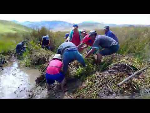 RUTAS de PIURA | La minga en la Meseta Andina de Frías 🇵🇪