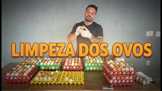 LIMPEZA dos OVOS CAIPIRA: qual o jeito certo de fazer?