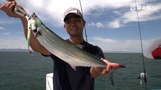 加太近海でライトジギング 手軽にマダイや青物をget 四季の釣り 14年8月22日oa Youtube