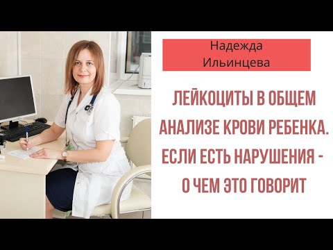 Лейкоциты в общем анализе крови ребенка. Если есть нарушения - о чем это говорит.