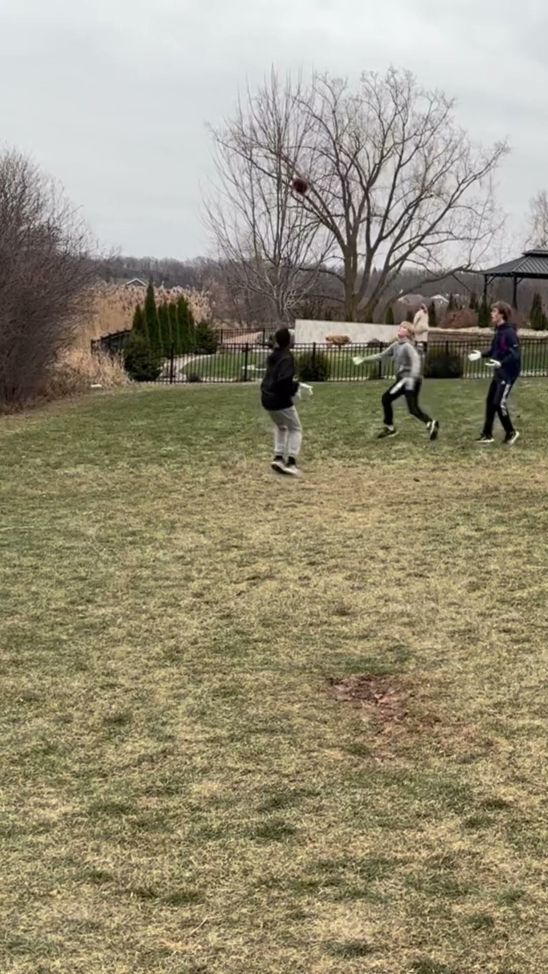 Zachy makes the insane diving one hand catch off of chance?!! #nfl #football #shorts #sports #viral