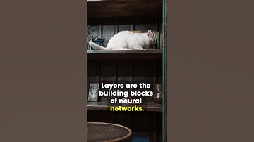 7/30. Layers in TensorFlow.