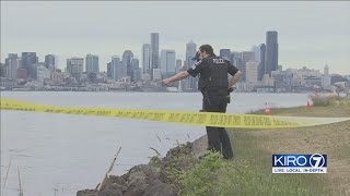 Video Teens Claim They Found Suitcase With Human Remains In Tiktok Video