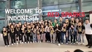 Detik-detik kedatangan Red Sparks di Indonesia