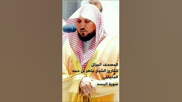 سورة المسد[surat Al-Masad]