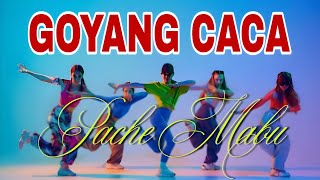 Download lagu GOYANG CACA 2026 - Pache Mabu ( Video Music) 🔥🔥🔊🔊