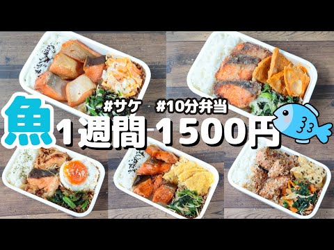 鮭で1週間お弁当🍱おかず1500円【節約レシピ】【10分弁当】〜包丁もまな板もいらない〜(´・ω・`)(471)