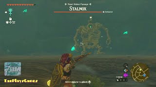 All Stalnox on Surface Location : Zelda Tears of The Kingdom.