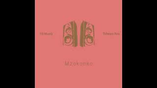 TD MuziQ & Tsheqo Rsa - Mzokonko.( Audio)