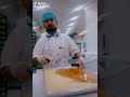 My job