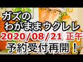 【8/21正午】ガズウクレレ予約販売再開！