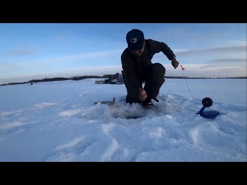 ВЕСЕЛУХА НАЧАЛАСЬ, таскаем