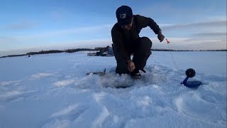 ВЕСЕЛУХА НАЧАЛАСЬ, таскаем ПЕРВЫХ СИГОВ и ЩУК! Якутия Yakutia