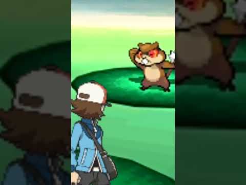 Discovering MissingNo in Pokemon Black & White?
