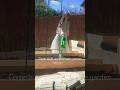 Come Build Our Vegetable Garden With Us More In Vlog 45 Slowliving Garden Springdiaries 