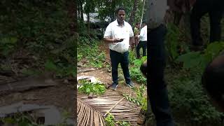 Sancoale Church people Gundagiri by trespassing and destroying trees by Funny Cats 18,702 views 4 years ago 2 minutes, 11 seconds