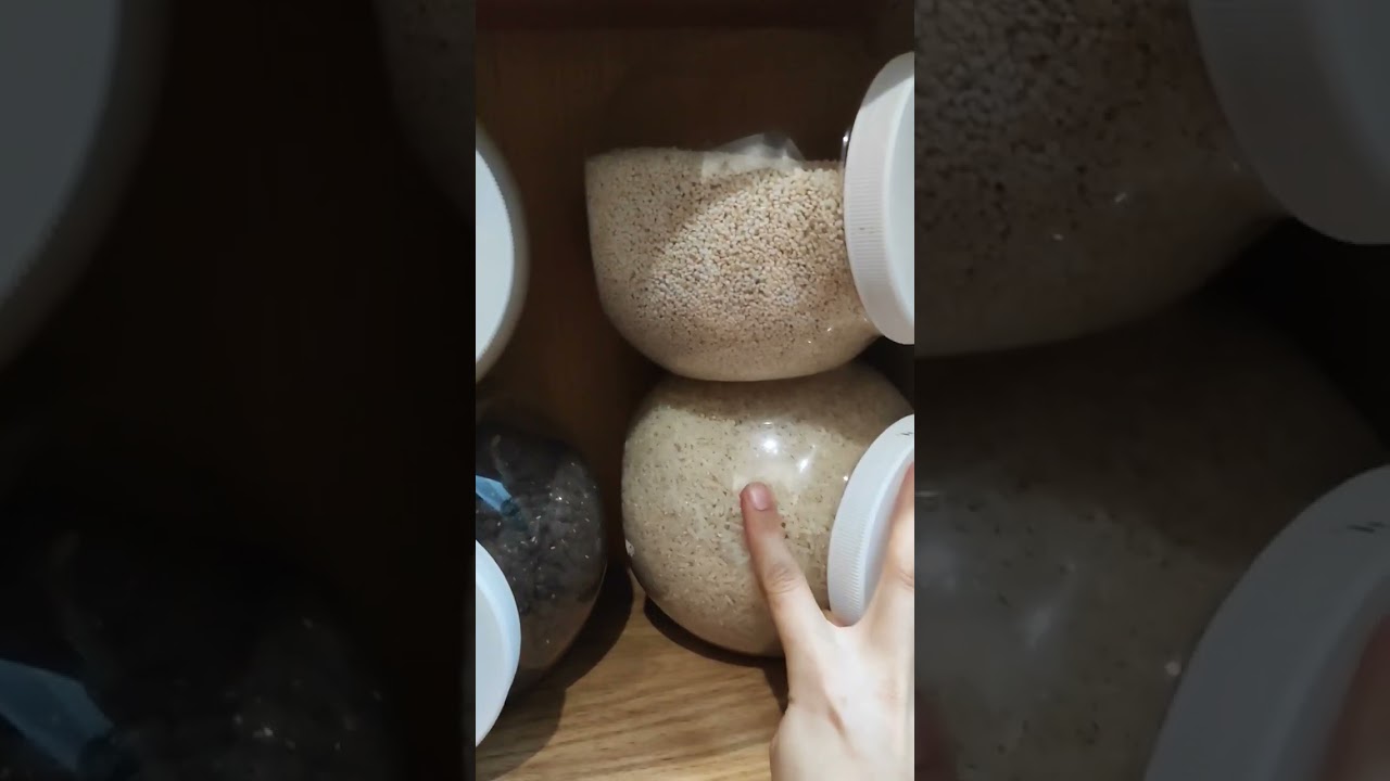 ✨Organizando mueble auxiliar en cocina 👩🏻‍🍳 contenedores de 