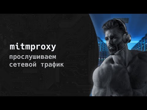 Ультимативное введение в mitmproxy