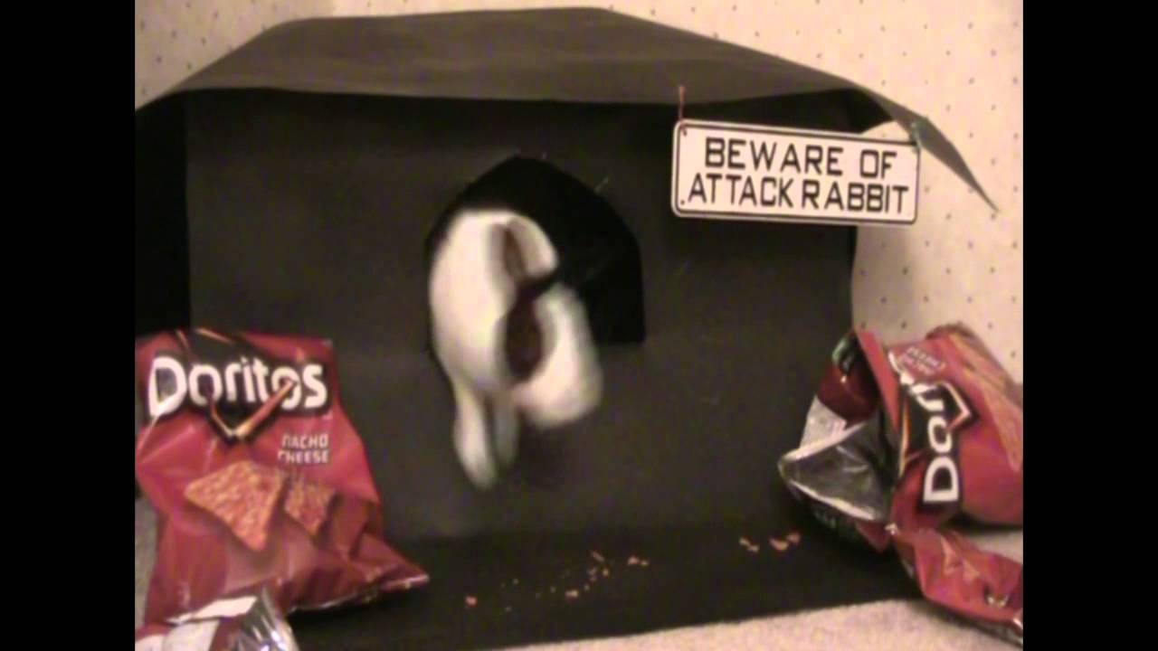 Doritos Commercial Beware of Attack Rabbit YouTube