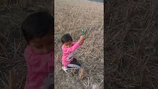 Flying Kite My Little Brother