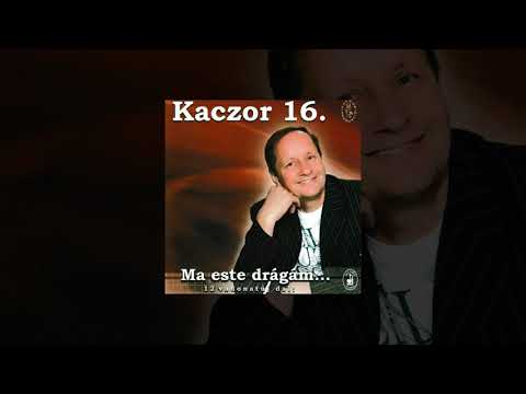 Kaczor Feri -
