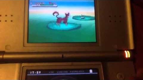 [Longest hunt EVER] Shiny Liepard after 90k! First shiny in gen 5 ever!