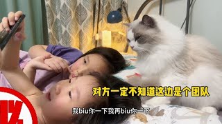 A game team  only the cat adult by 猪娣儿是一只猫 823 views 1 month ago 2 minutes, 17 seconds