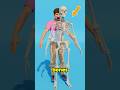 What If Your Body Had NO Bones? 😨