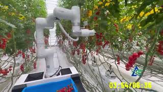 Famous AgriX Tomato-Picking Robot Net Worth